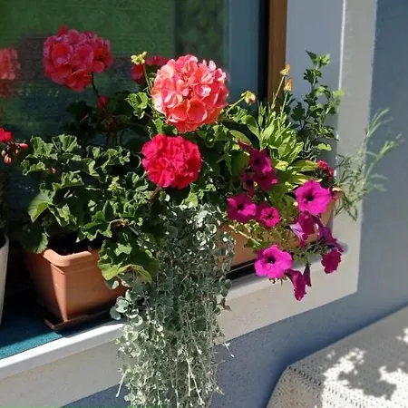Gerstgraser Bed and breakfast Rauris