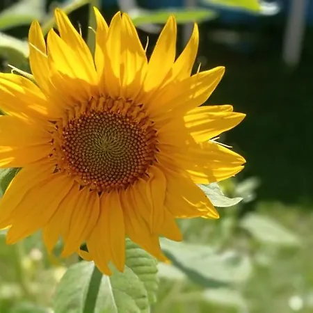 Gerstgraser Bed & Breakfast 3*