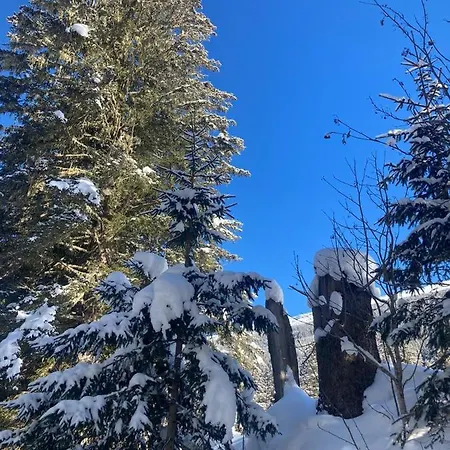 Bed & Breakfast Gerstgraser