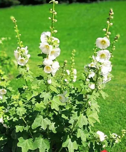 Gerstgraser Bed & Breakfast 3*