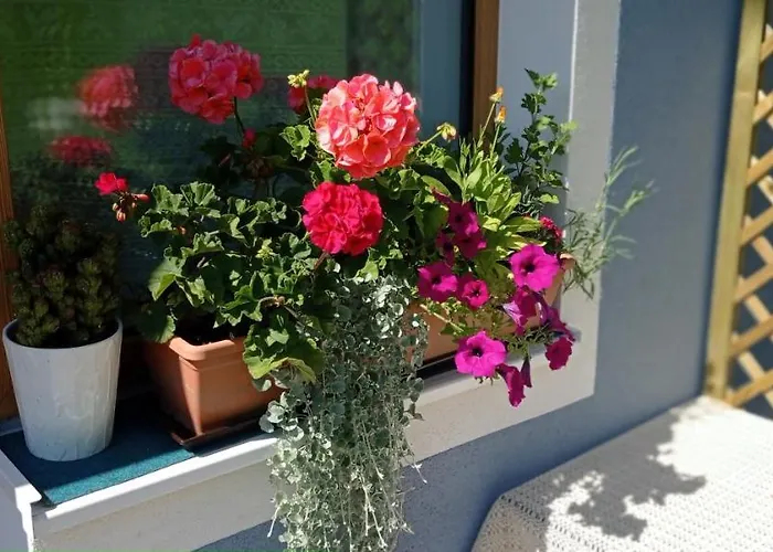 Gerstgraser ベッド・アンド・ブレックファスト ラウリス