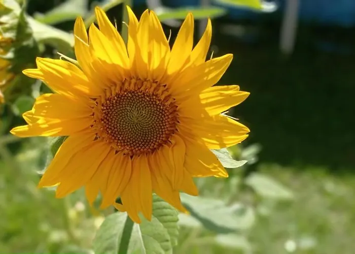 Gerstgraser ベッド・アンド・ブレックファスト 3*