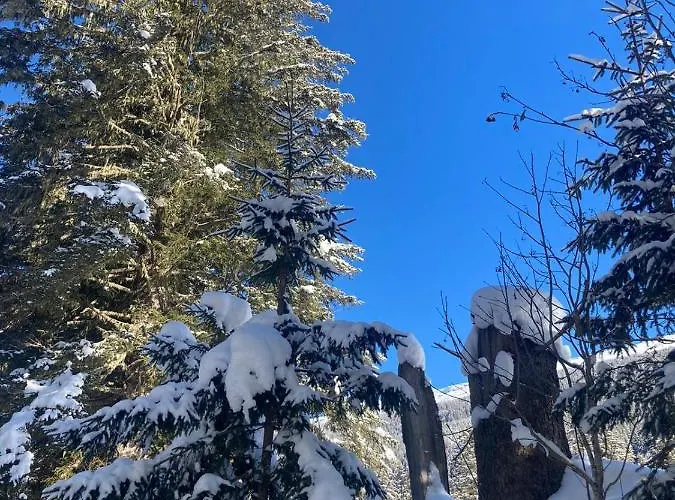 ベッド・アンド・ブレックファスト Gerstgraser